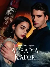 Alfa’ya Kader